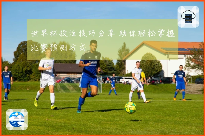 世界杯投注技巧分享 助你轻松掌握比赛预测方式