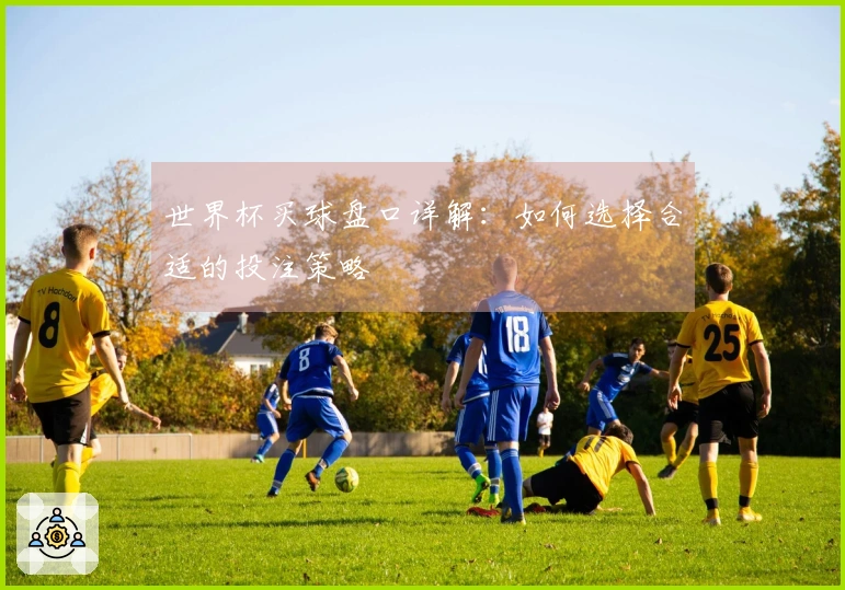 世界杯买球盘口详解：如何选择合适的投注策略