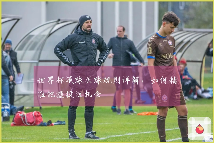 世界杯滚球买球规则详解，如何精准把握投注机会