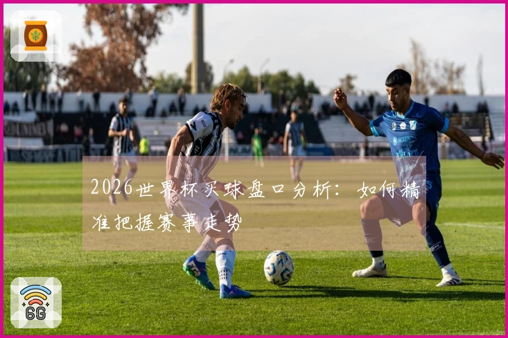 2026世界杯买球盘口分析：如何精准把握赛事走势