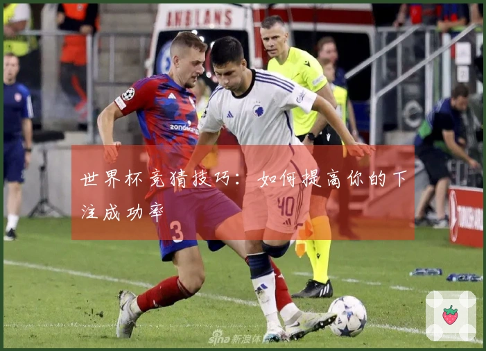 世界杯竞猜技巧：如何提高你的下注成功率