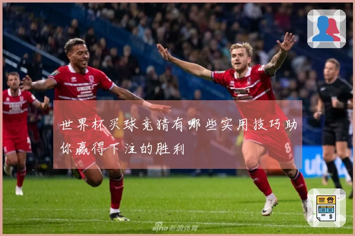 世界杯买球竞猜有哪些实用技巧助你赢得下注的胜利